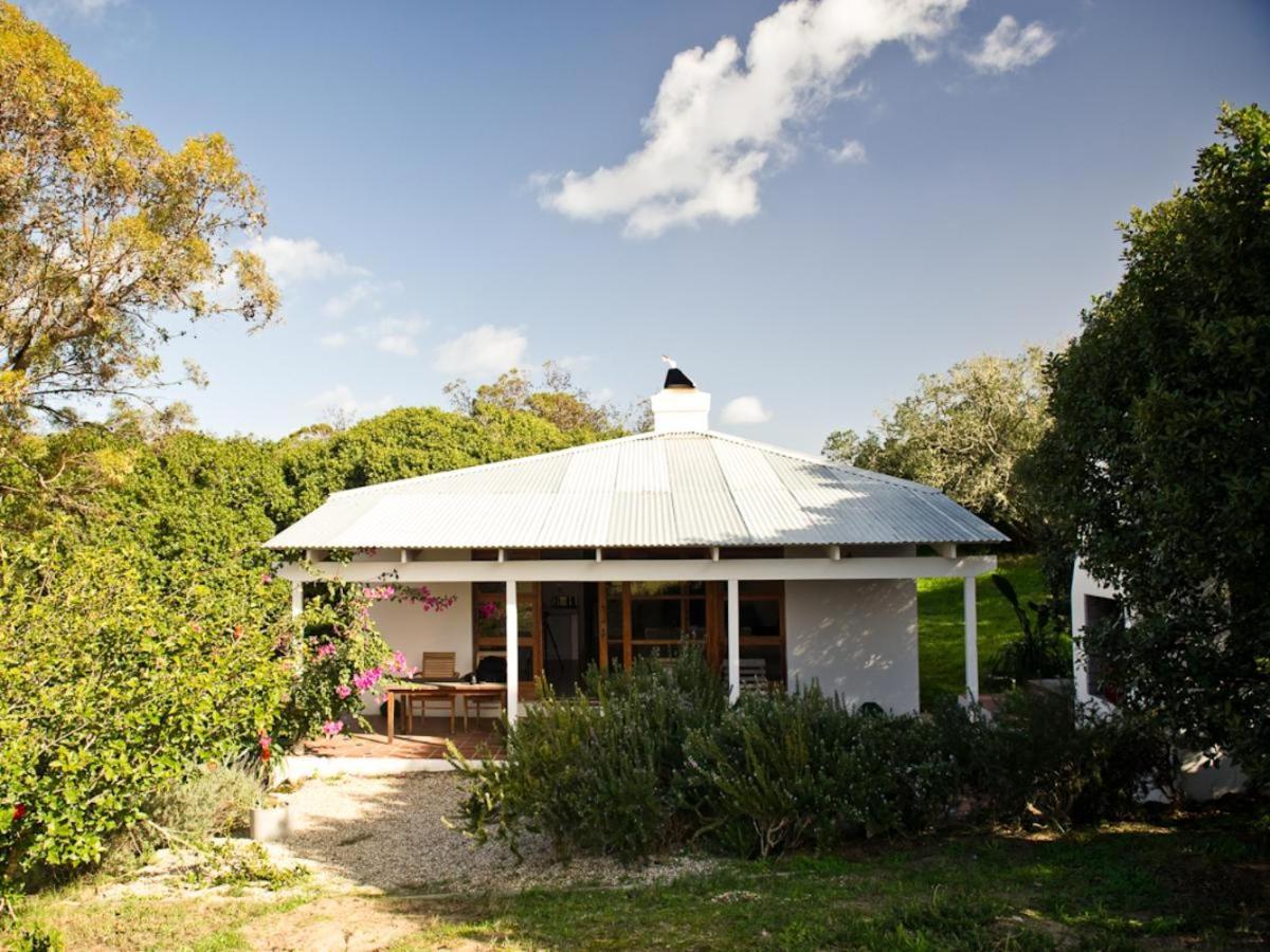 Springfontein Wine Estate Ξενοδοχείο Stanford Δωμάτιο φωτογραφία