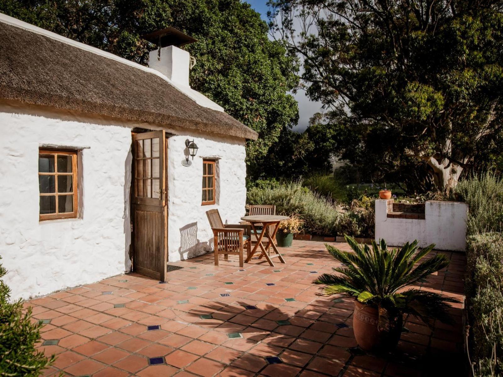 Springfontein Wine Estate Ξενοδοχείο Stanford Εξωτερικό φωτογραφία