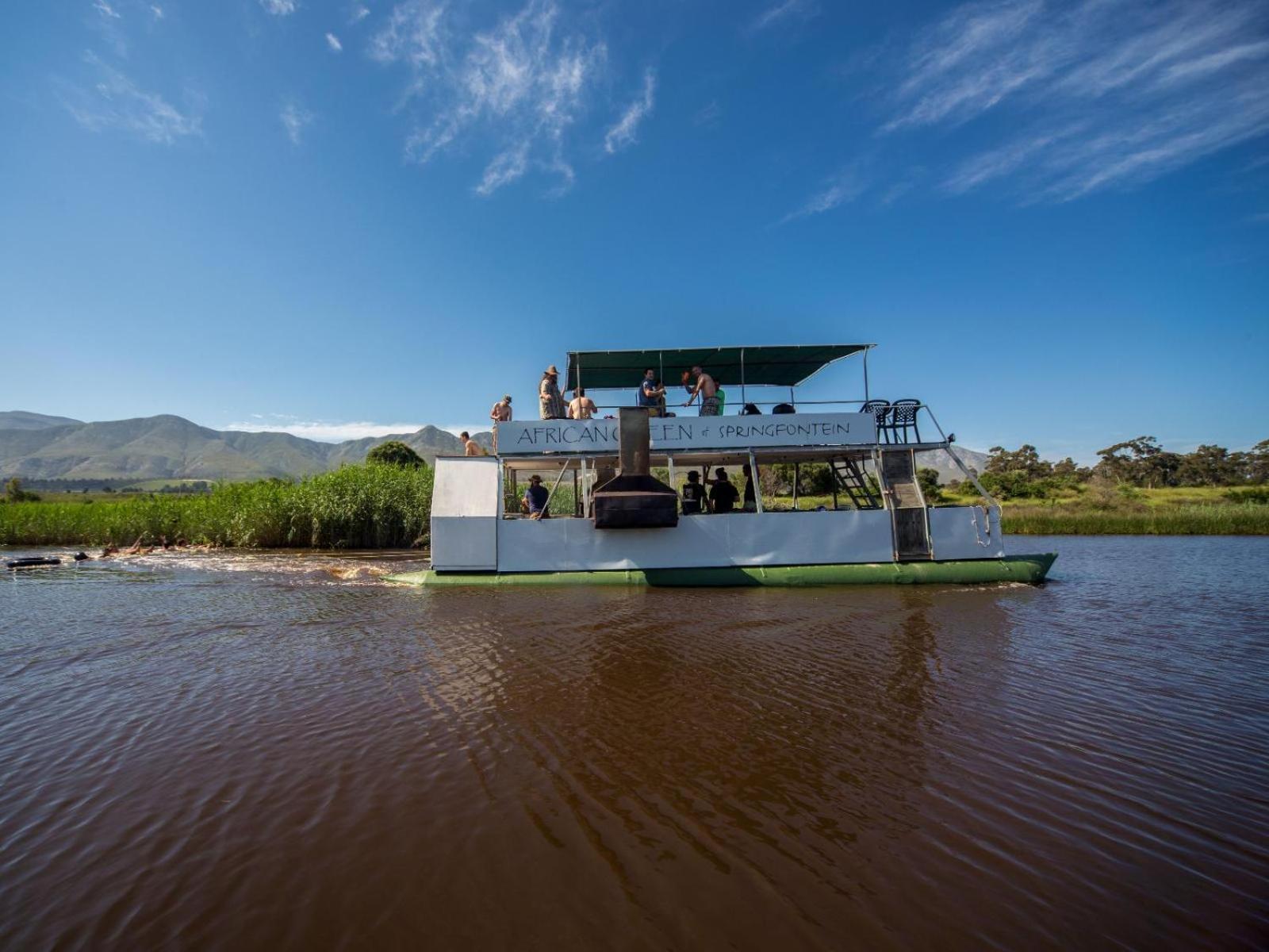 Springfontein Wine Estate Ξενοδοχείο Stanford Εξωτερικό φωτογραφία