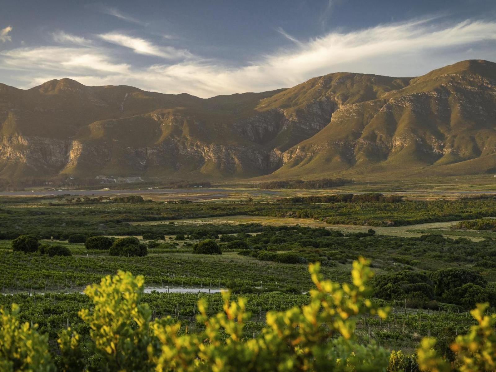 Springfontein Wine Estate Ξενοδοχείο Stanford Εξωτερικό φωτογραφία