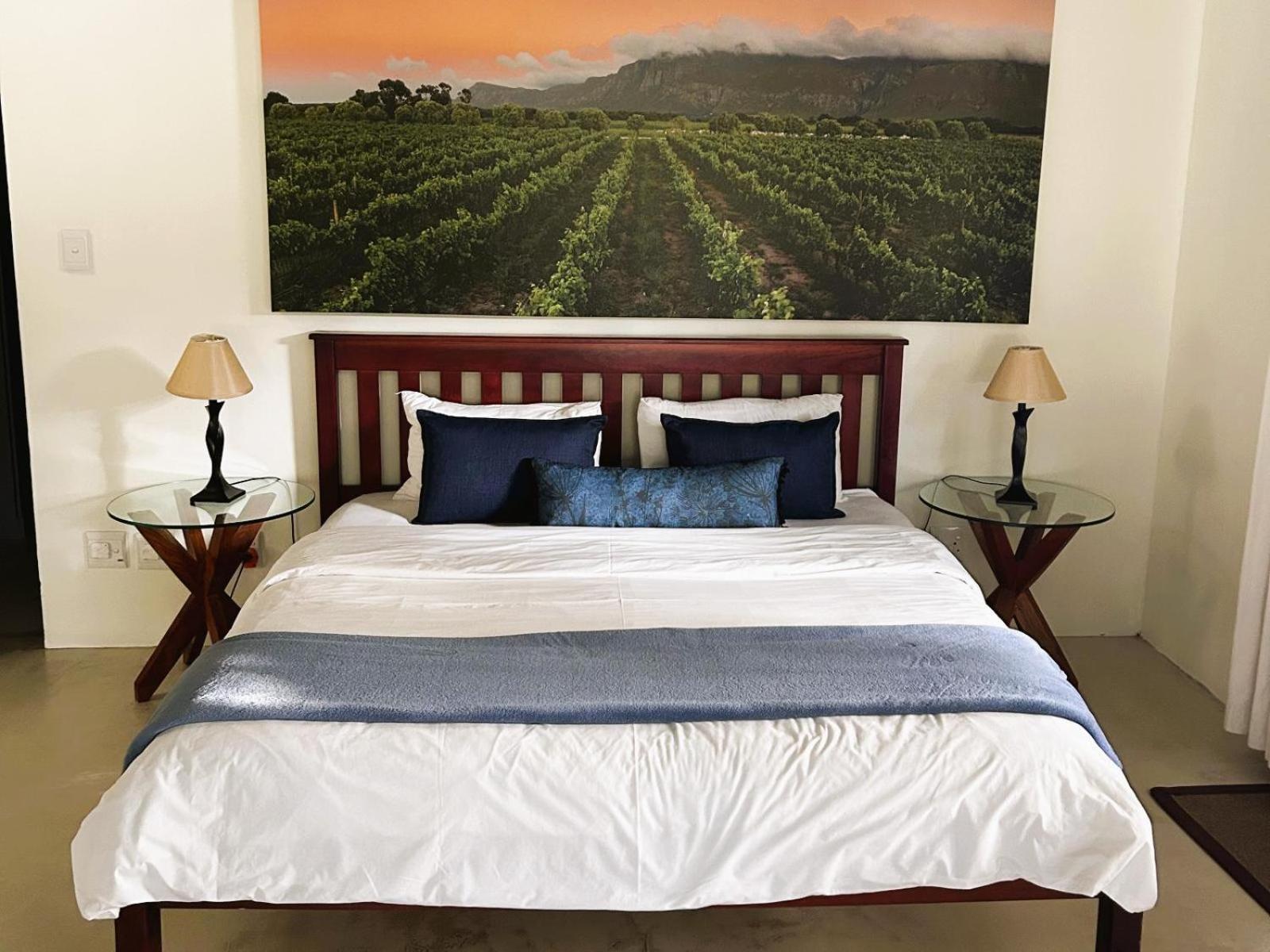 Springfontein Wine Estate Ξενοδοχείο Stanford Δωμάτιο φωτογραφία