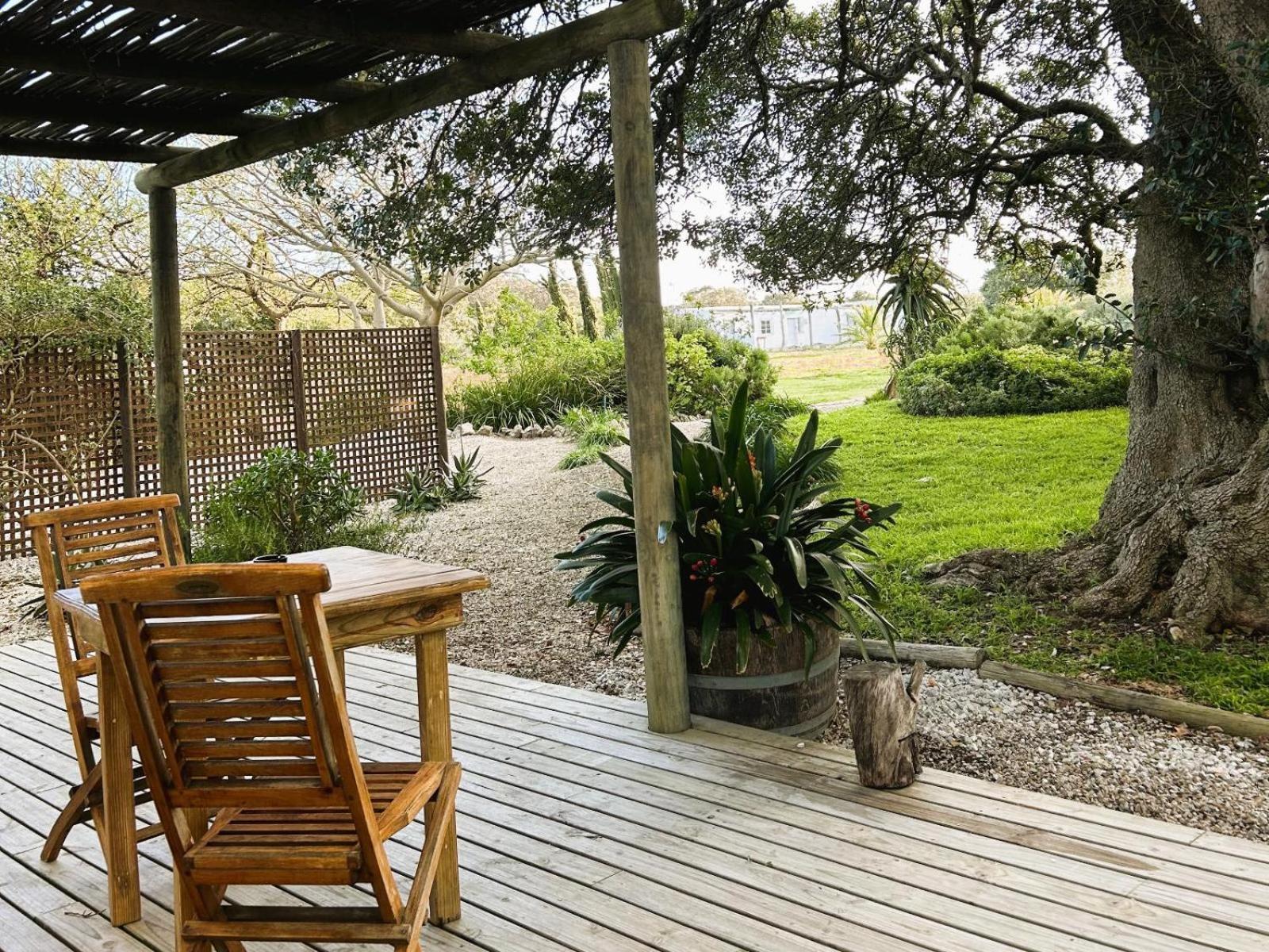 Springfontein Wine Estate Ξενοδοχείο Stanford Δωμάτιο φωτογραφία